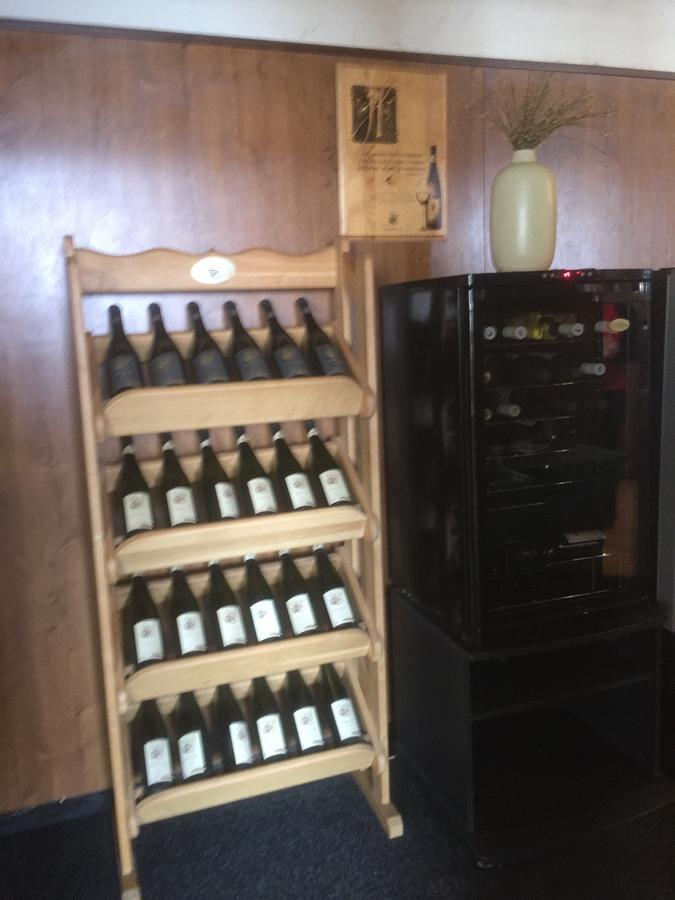 Hotel Dvorak Chrast Eksteriør billede